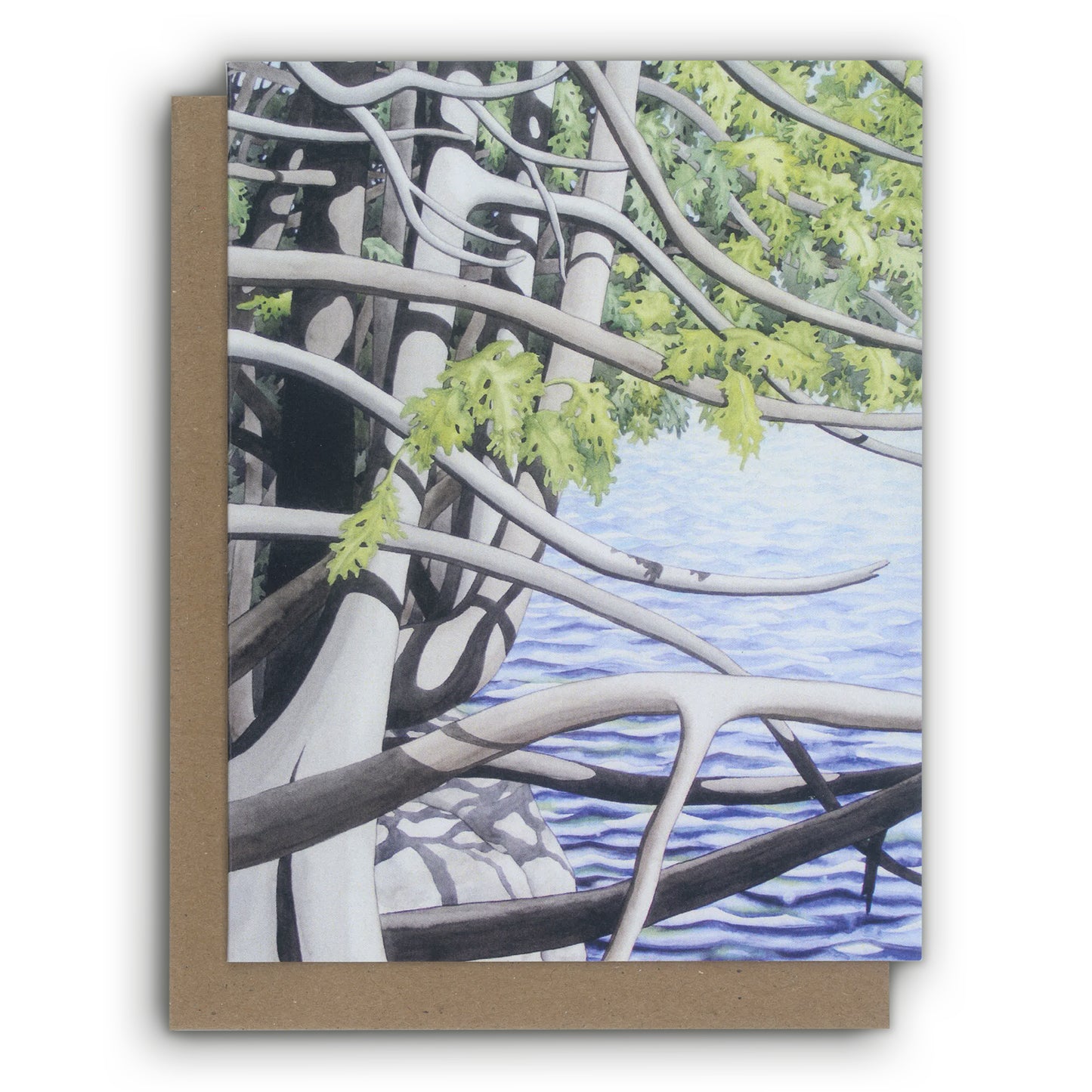 Ketha Newman Forest Art cards Boxset