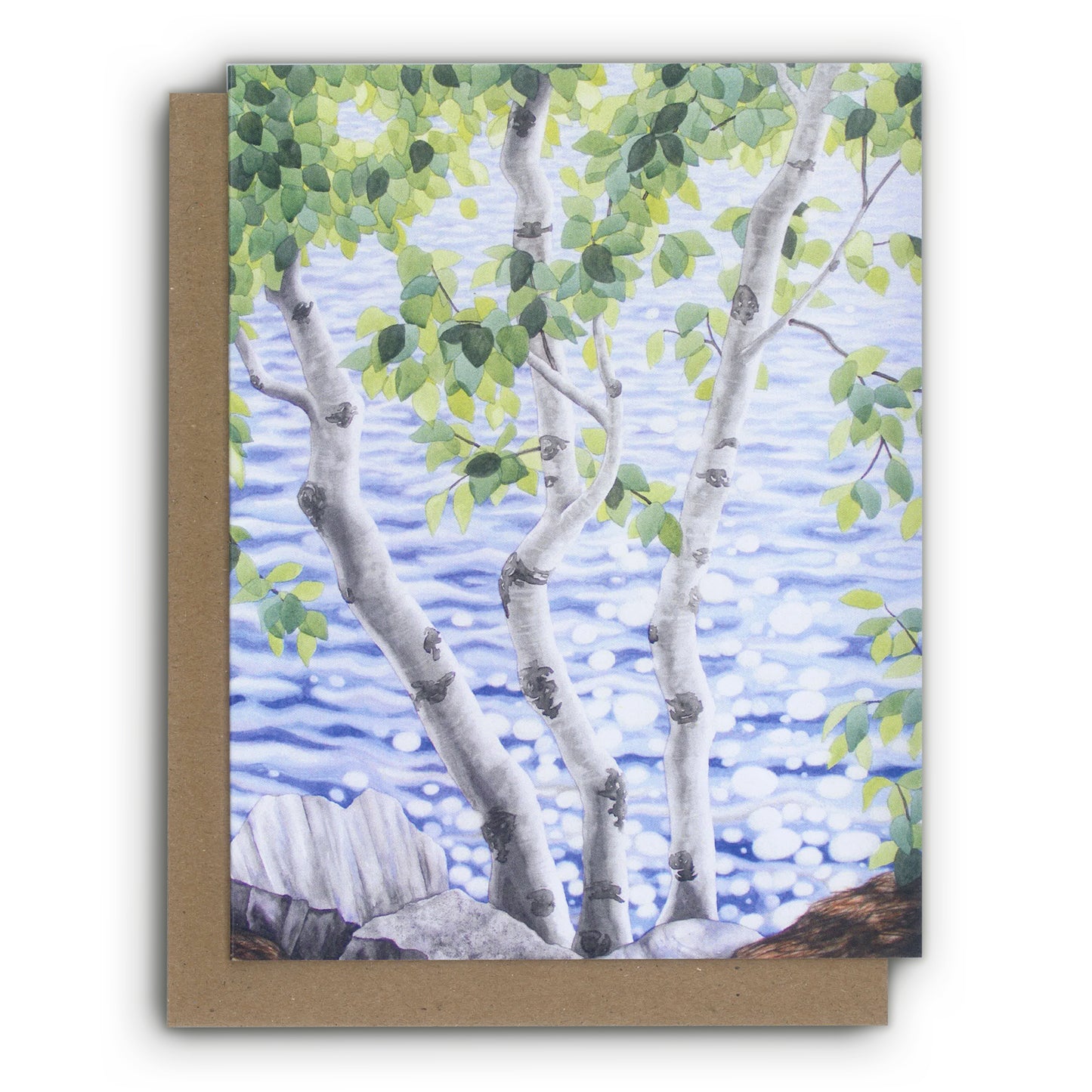 Ketha Newman Forest Art cards Boxset